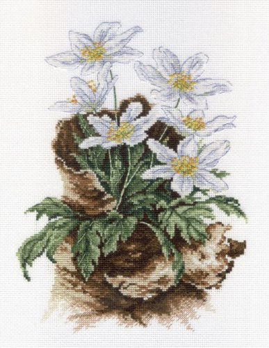 (image for) First Flowers